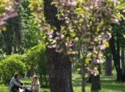 Метеорологи: Весна в Киеве закончилась