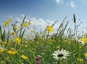 Спека відступає: прогноз погоди на тиждень в Україні