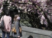 В Украине количество заболевших коронавирусом превысило 14 000