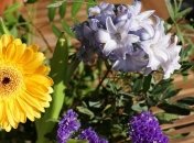 Короткие поздравления с днем рождения на 25 июня 