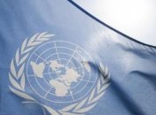 В ООН раскритиковали законопроект о дезинформации