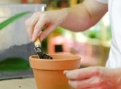 Планируем новый огородный сезон