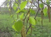 Прогноз погоды в Украине 10 мая: ожидается похолодание, местами дождь