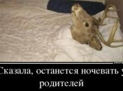 Убойные демотиваторы для отличного настроения