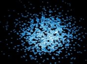 Бактерии могут взаимодействовать со светом на квантовом уровне