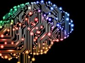 Ученые выяснили, что интеллект и IQ совсем разные понятия