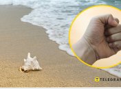 Почав чіплятися? На пляжі в Одесі голі чоловіки побилися з геєм (відео)