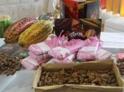 Миру грозит жесткий дефицит шоколада