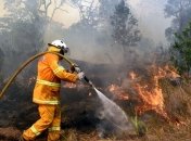 В Новой Зеландии бушуют лестные пожары