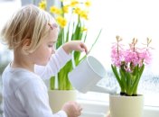 25 апреля. Приметы дня. Что сегодня посеем, то и пожнем!