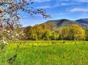 31 марта. Приметы дня