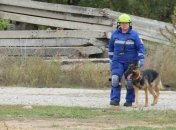 В аэропорту "Борисполь" "горел" самолет (Видео)