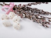 История Вербного воскресенья: рассказываем детям