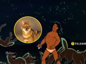 Шакал, Маугли, "рыжие собаки"