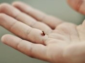 Как вылечить кожные заболевания