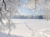 Погода в Украине на 8 января: сильный ветер и снег