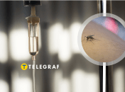 Захворювання переносять комари