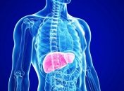 Названы три основные причины возникновения цирроза печени