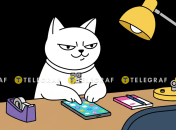 Кот-моно с телефоном