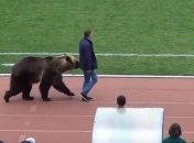 Медведь открыл матч чемпионата России по футболу 