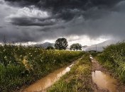 Синоптики объявили штормовое предупреждение: какие регионы в опасности 