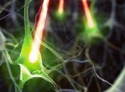 Лазер вернул воспоминания мышам с болезнью Альцгеймера