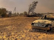 В сеть попали шокирующие фото последствий масштабных лесных пожаров на Луганщине: выгорело абсолютно все