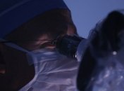 В Сербии от лихорадки Западного Нила скончались 4 человека