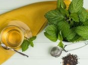 Можно ли во время беременности пить чай с мелиссой