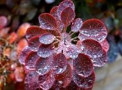 Народные приметы и обряды на ноябрь 2019 года