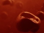 Ученые научились превращать старые клетки крови в стволовые