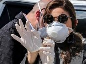 Коронавирус COVID-19 добрался до Исландии