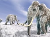 Ученые обещают воскресить мамонтов