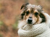 В Украине резко похолодает