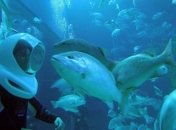 В Кении создают подводный музей