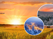 Средняя температура выросла