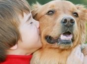 Доброта по-американськи: тварин з притулків розібрали 