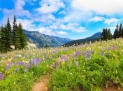 5 июня. Приметы дня