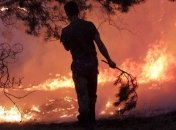 Лесными пожарами в Херсонской области охвачено более 120 га