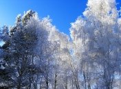 Зима заявила про свої права