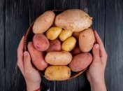 Тепер ви зберігатимете картоплю правильно