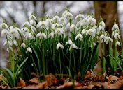 2 марта. Приметы дня