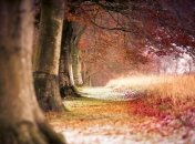 В Индии установлен новый экологический мировой рекорд