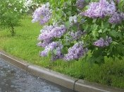 Погода в Украине 8 мая: будет дождливо, но тепло