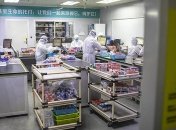 Китай не допустил ВОЗ к расследованию по коронавирусу