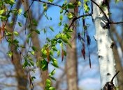 24 марта. Приметы дня