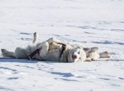 Ветер принесет в Украину потепление: синоптик озвучила прогноз на 3 февраля