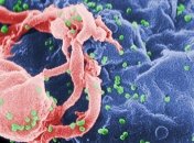 Ученые обнаружили геном, который способен защитить организм от ВИЧ