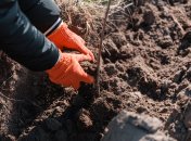 Перекапывания огорода - важная часть подготовки земли к зиме