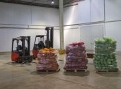 Эксперт: Средние агрокомпании превратят в доноров госбюджета